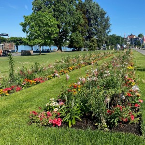 Stadt Zug
