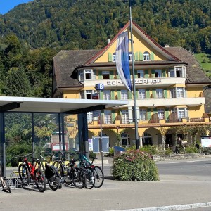Staplergefässe in Weggis – flexible Begrünung für urbane Lebensqualität 🌿 Staplergefässe in Weggis – flexible Begrünung für urbane Lebensqualität 🌿