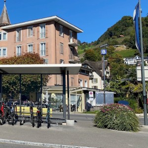 Staplergefässe in Weggis – flexible Begrünung für urbane Lebensqualität 🌿 Staplergefässe in Weggis – flexible Begrünung für urbane Lebensqualität 🌿