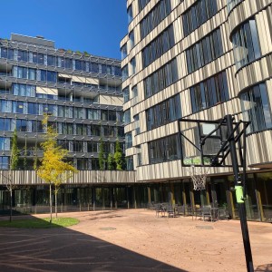 Fassadenbegrünung St. Josef-Stiftung