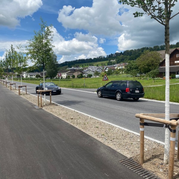 Baumgrube einseitig Baumgrube einseitig