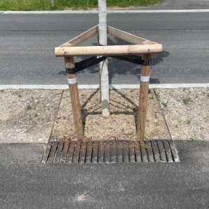 Baumgruben Eschenbach Baumgruben Eschenbach