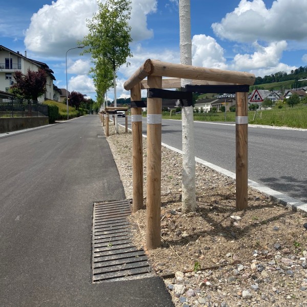 Baumgrube Baumgrube